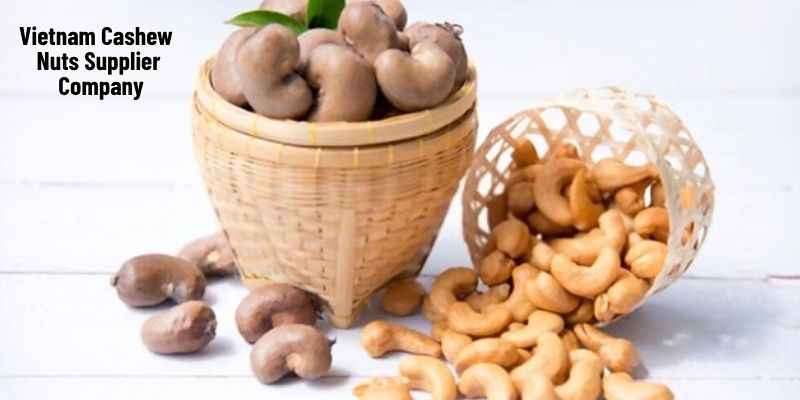 Thank You – From Vietnam Cashew Nuts Supplier to Our Valued Global Partners 1 8